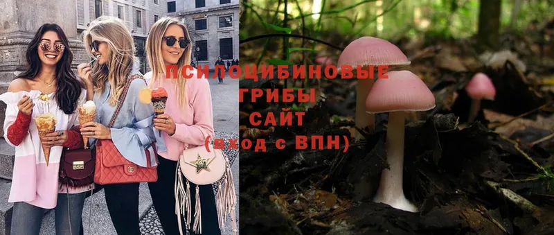 Псилоцибиновые грибы Magic Shrooms  закладки  Тетюши 